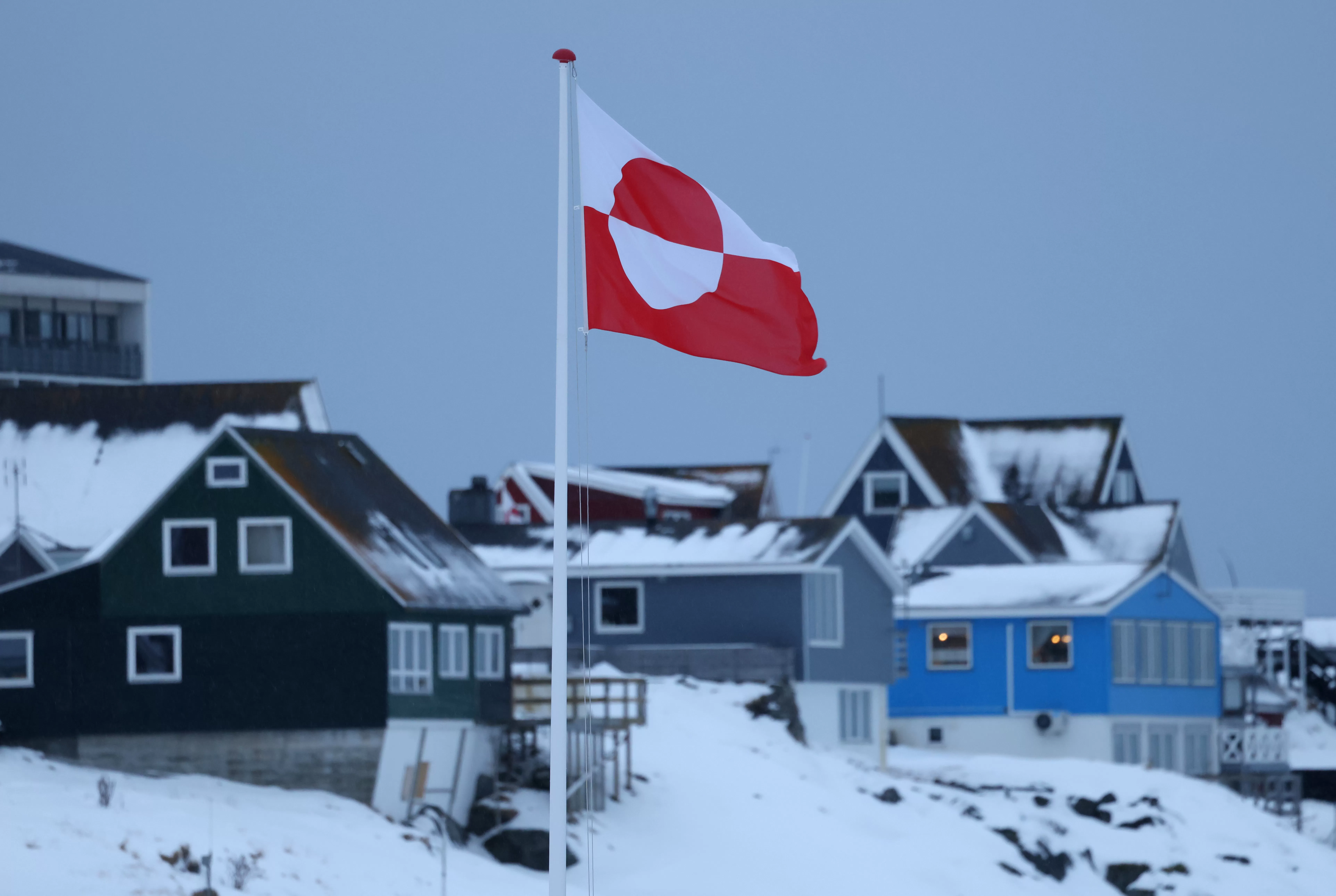 White House Meme About Greenland Penguin Sparks Jokes, Backlash