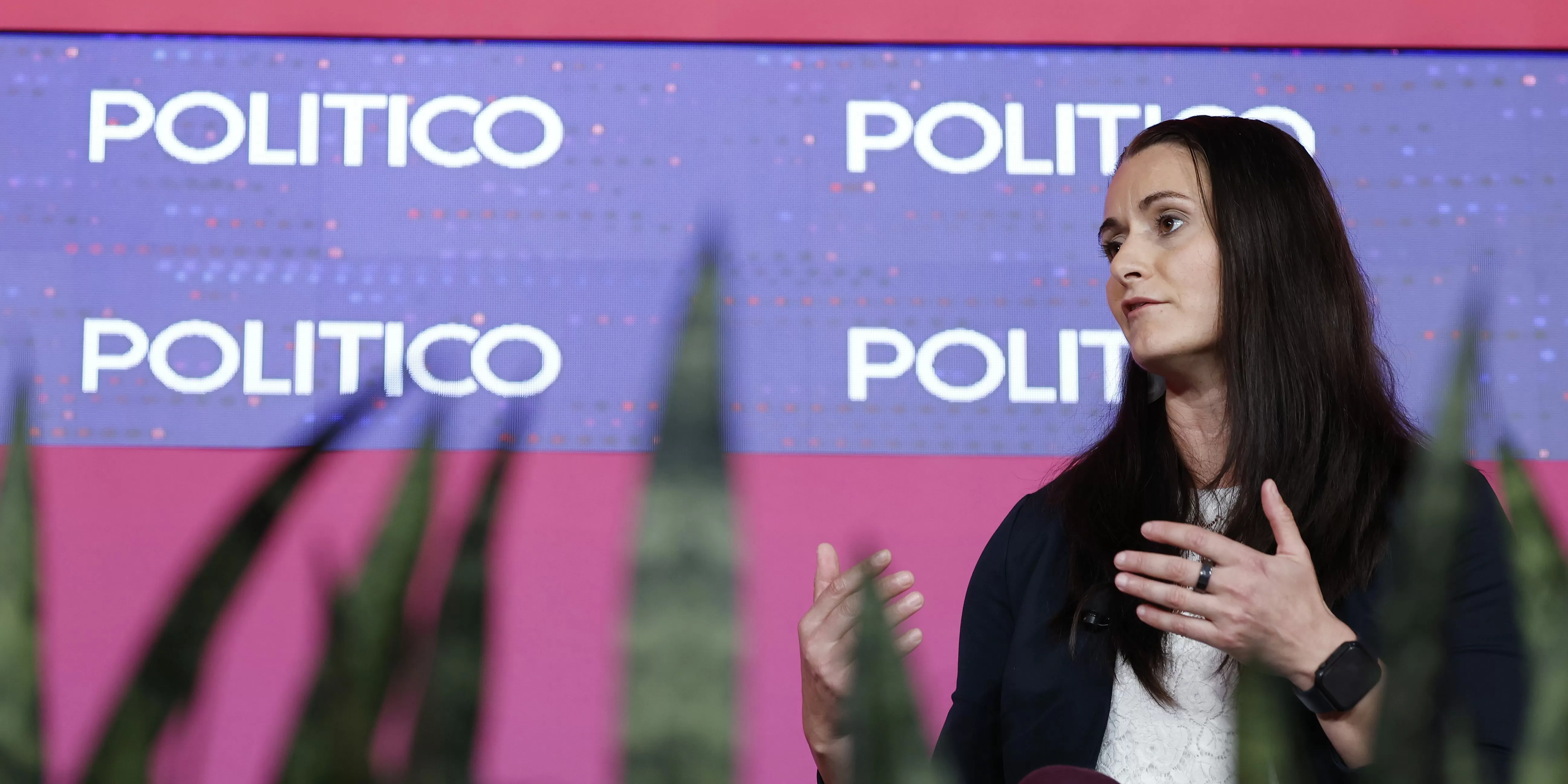 NY Democratic House Candidate Works for Palantir Partners Pushing AI Border Surveillance