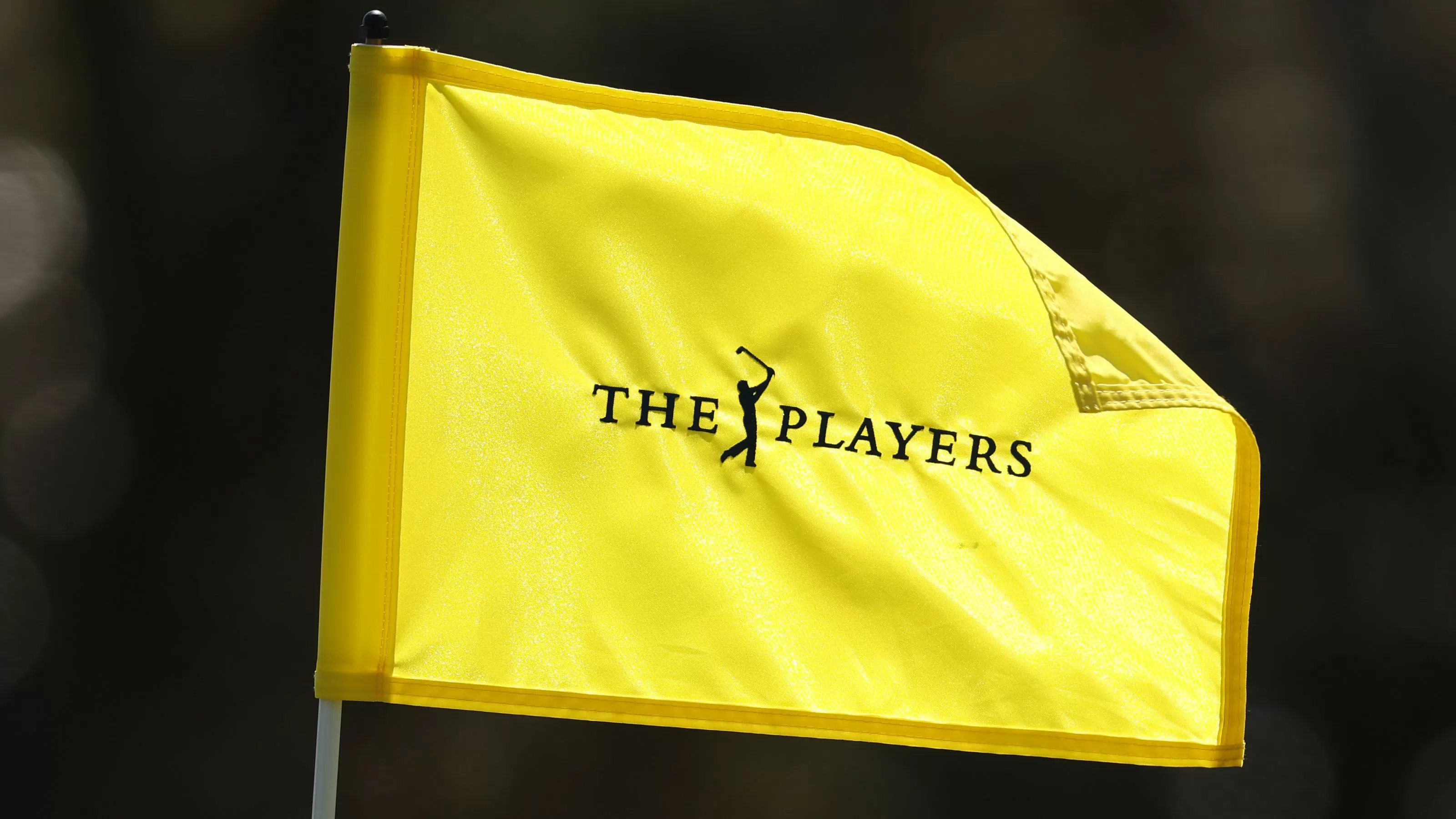 Players Championship Field Breakdown: Scheffler, McIlroy Lead Top Names