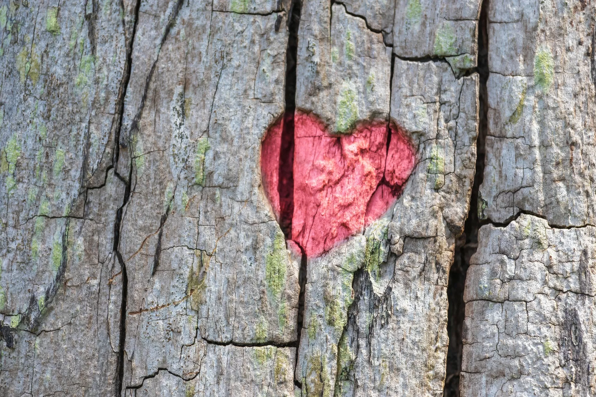 Why Heart Disease Still Kills the Most: Hidden Heart Disease Causes and How to Cut Cardiovascular Risk
