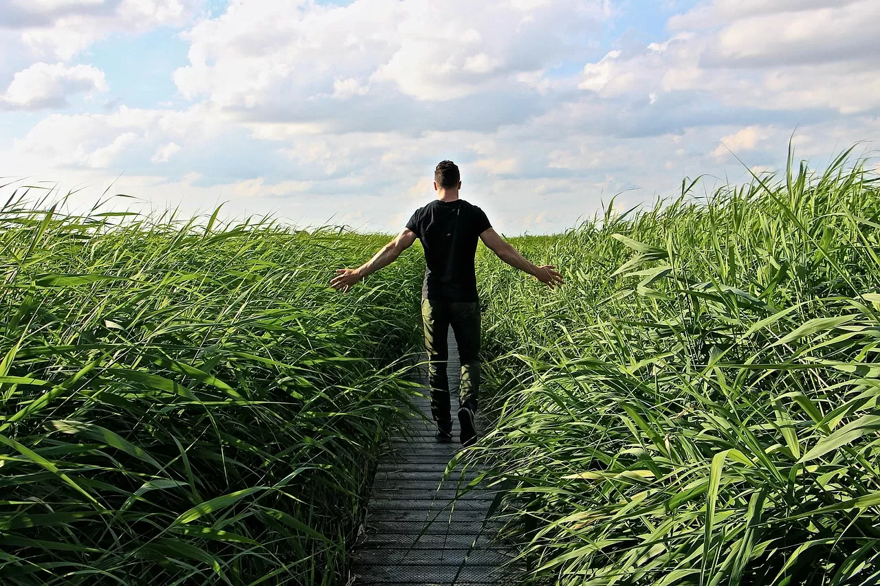 Post‑Work Decompression: Walk, Stretch, and Breathe Your Way to Relaxation