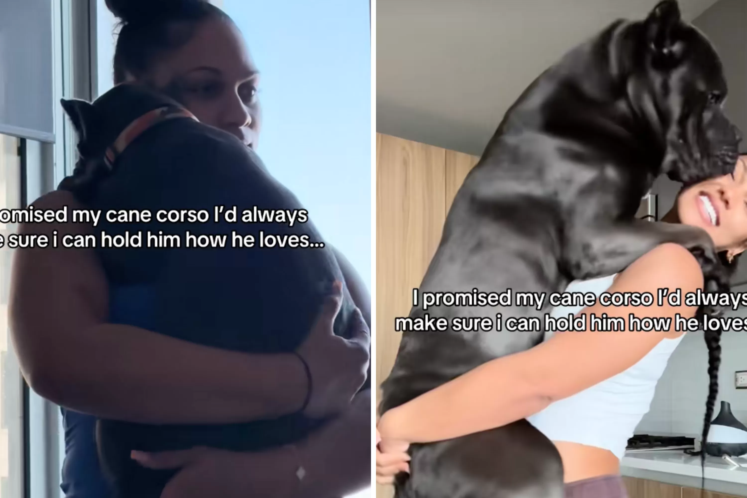 Owner Makes One Promise to Puppy—110LBS Later She’s Determined To Keep It