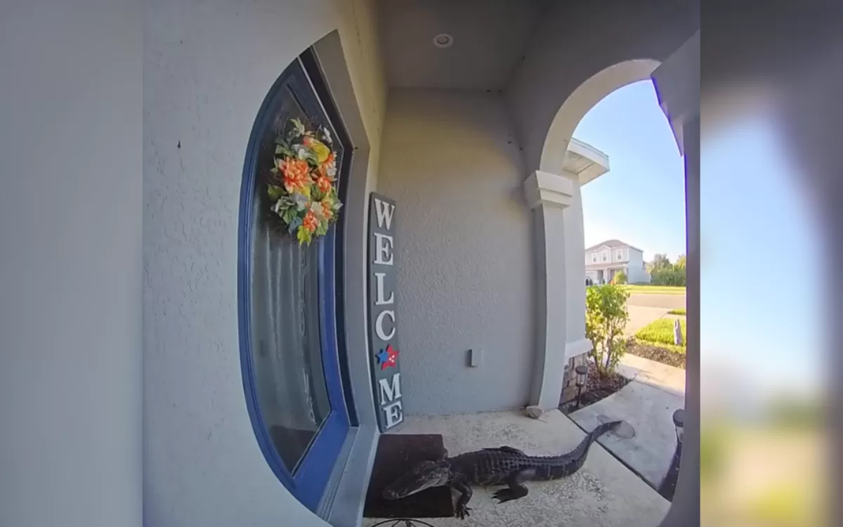 Woman Sees Doorbell Cam Footage—Not Prepared for What’s Lurking Outside